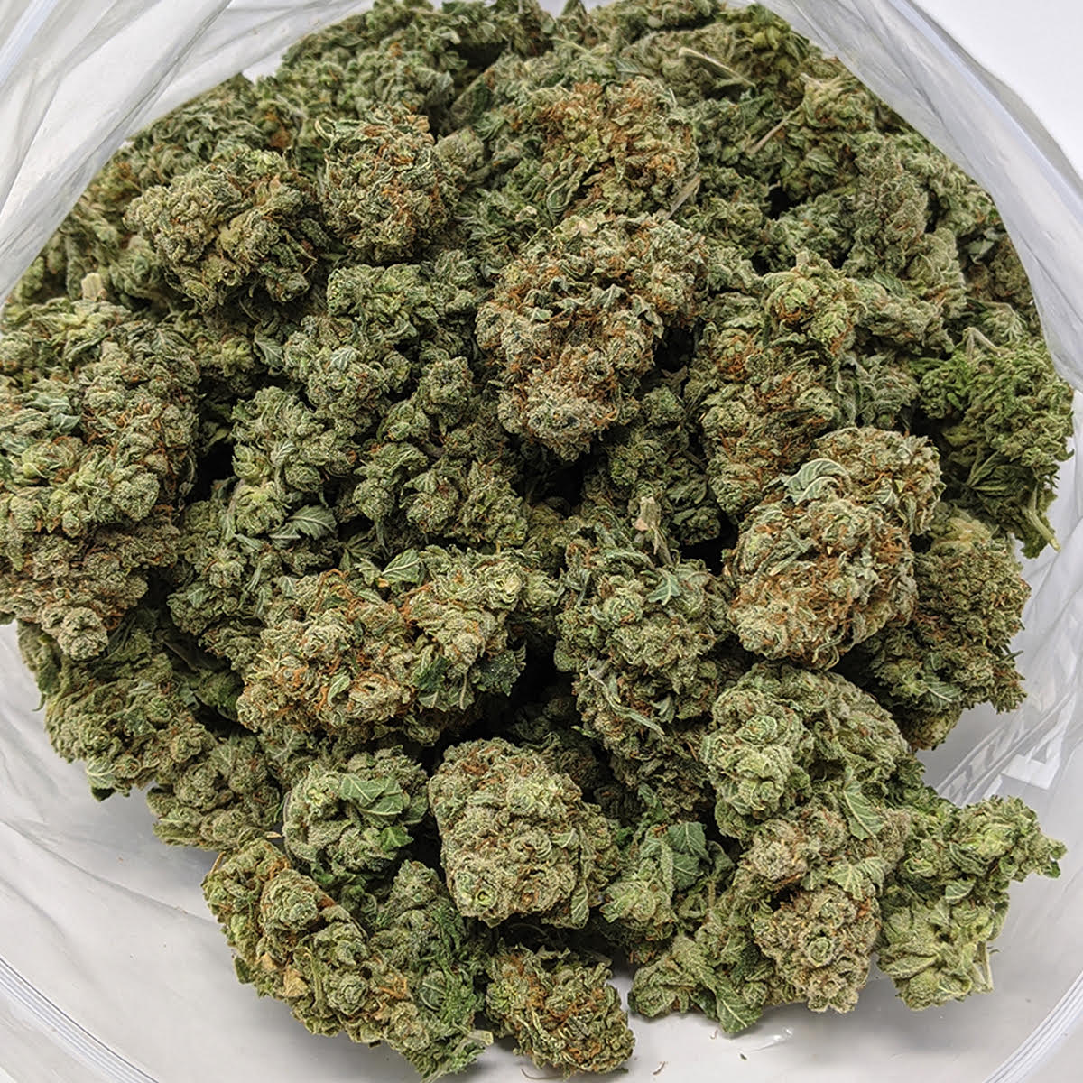 Amnesia Haze