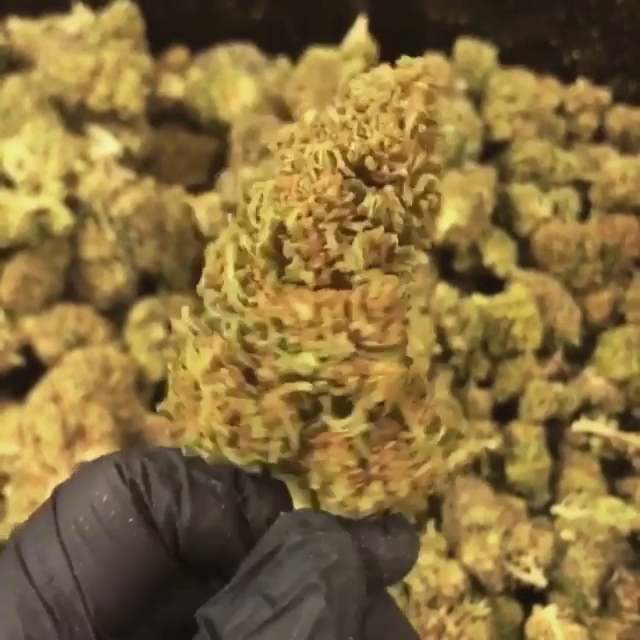Bubba Kush